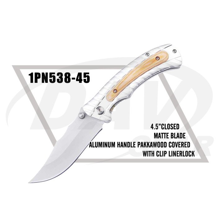 1PN538-45
