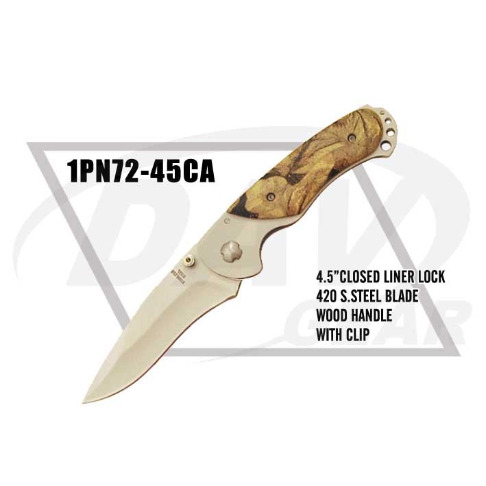 1PN72-45CA