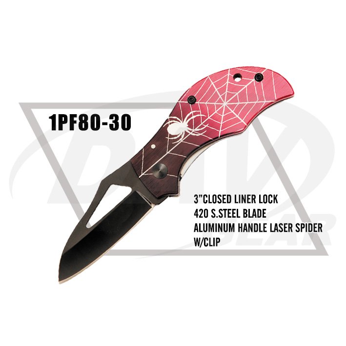 1PF80-30