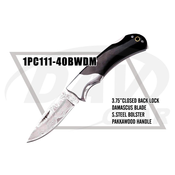 1PC111-40BWDM