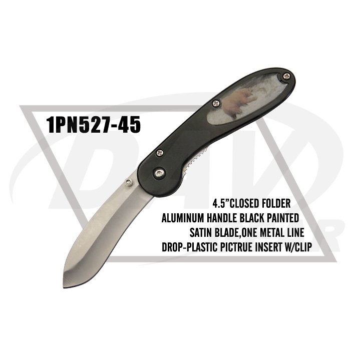 1PN527-45