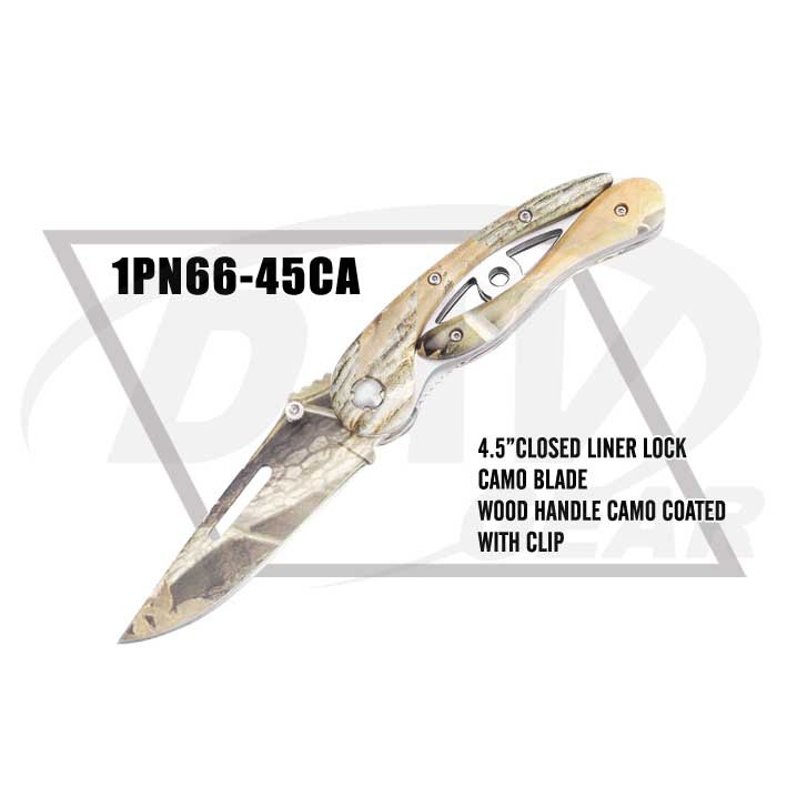 1PN66-45CA