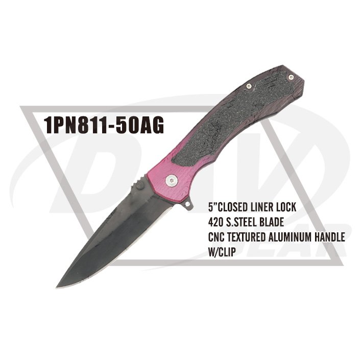 1PN811-50AG