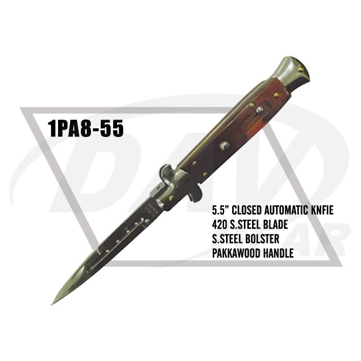 1PA8-55