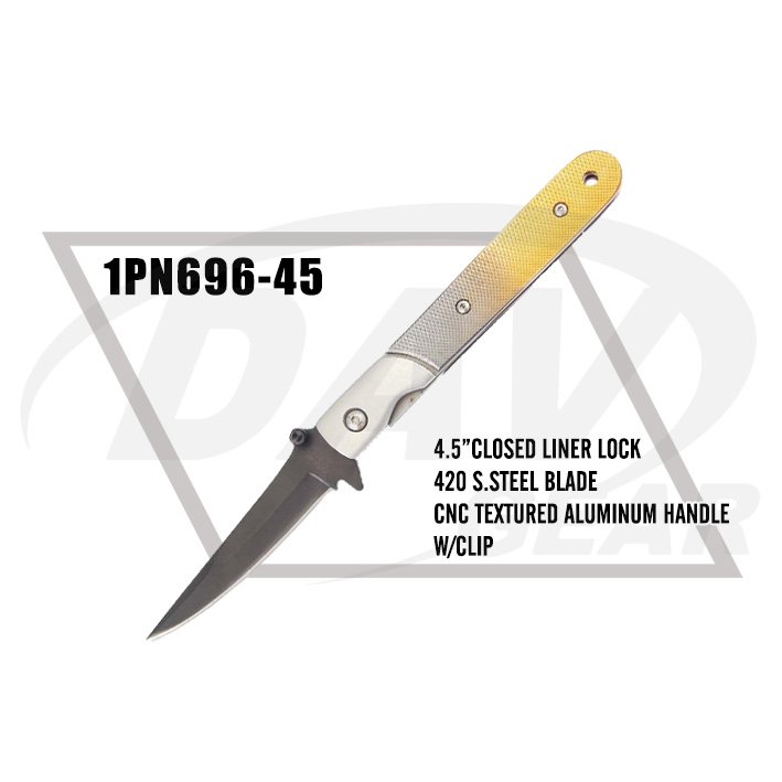 1PN696-45